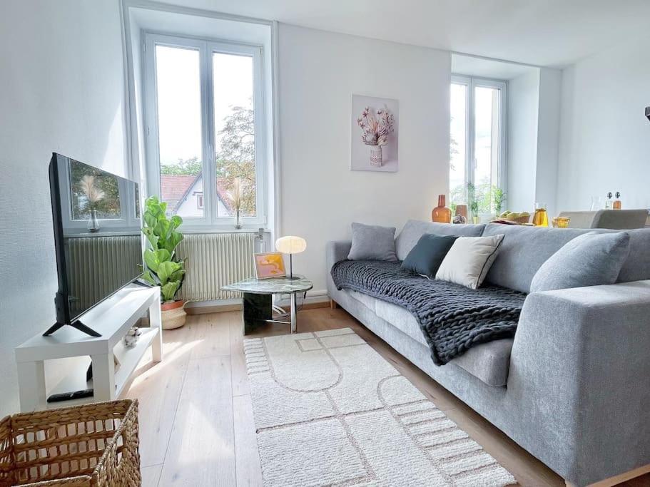 1 Appartement 3P Ideal Famille Travail Renove Lumineux Parking Gratuit Mülhausen Exterior foto